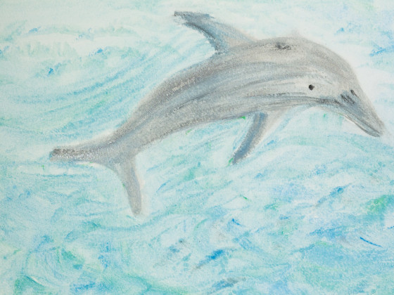 Delfin
